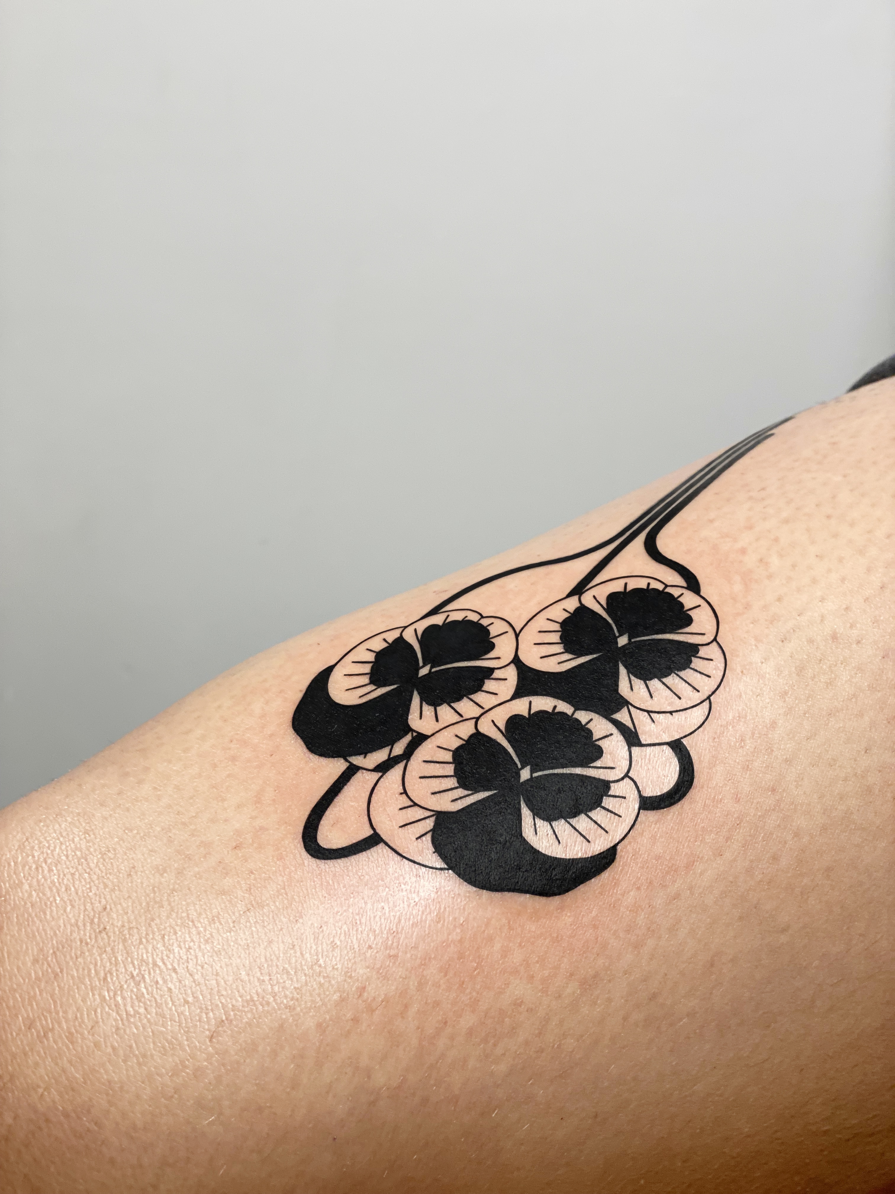 Blackwork forearm tattoo of four-leaf clovers with bold fill — graphic line work and minimalist botanical illustration by Jane Again Tattoo, Mexico City.
